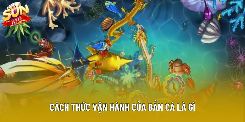 Cách thức vận hành của bắn cá là gì Cách thức vận hành của bắn cá là gì